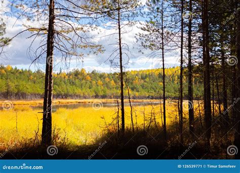 Lake In Autumn Forest Against Blue Sky Landscape Stock Image Image Of