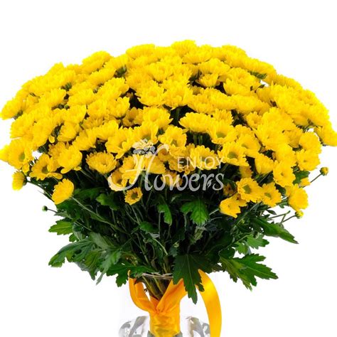 Букет из 25 хризантем "Сантини желтые", артикул: 200572 в интернет ...