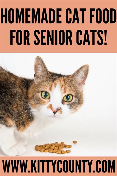 Homemade Cat Food Recipes For Senior Cats