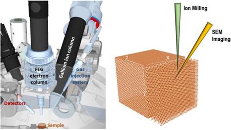 Inside Of A Focused Ion Beam Scanning Electron Microscopy Platform Download Scientific