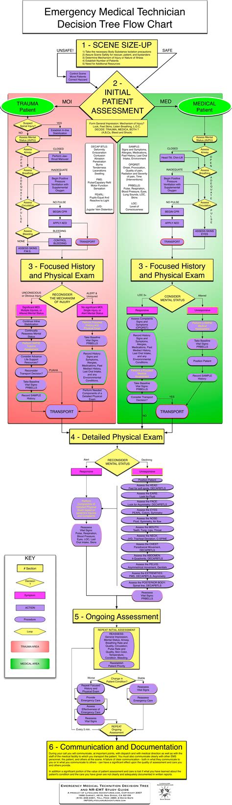 Emergency Decision Tree Form Fill Out Printable Pdf Forms Online