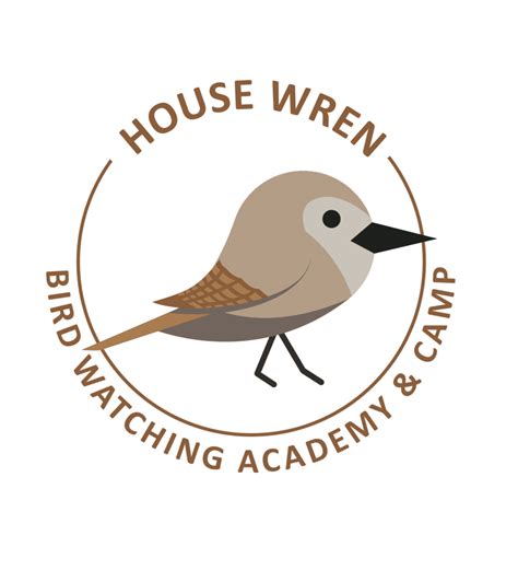 House Wren - Bird Watching Academy