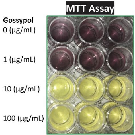 Gossypol Mouse Raw Macrophages And Biomarkers Analyzed By Qpcr