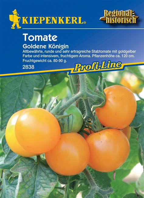 Tomaten Goldene Königin kaufen bei OBI