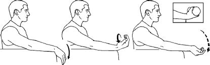 Wrist Flexion Eccentric Elbow Extended