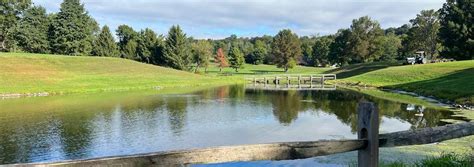 Tree Top Golf Course - Reviews & Course Info | GolfNow