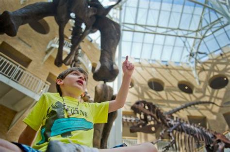 Fernbank Museum Dinosaur Birthday Bash – Capture Life Through the Lens