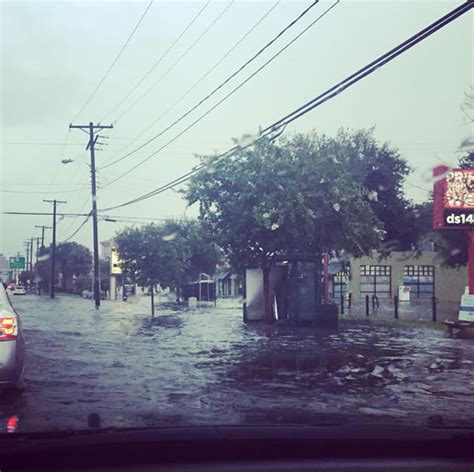 Photos of the Tampa Bay flood - The Adventures of Accordion Guy in the ...