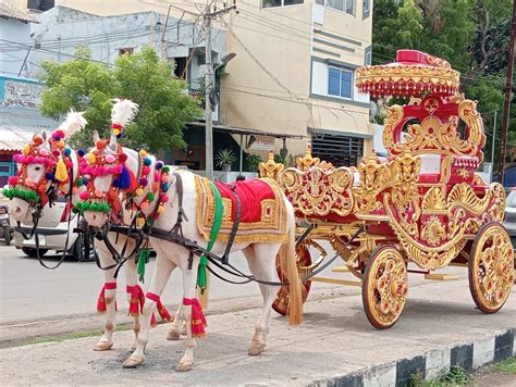 Best Horse Chariot for Wedding - Lets Unleash Tradition