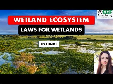 Wetland L Importance Of Wetlands L Ramsar Convention L Laws For