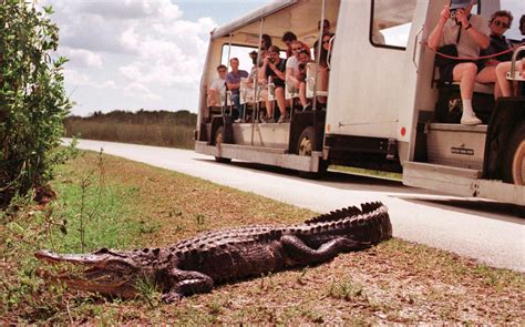 Everglades National Park Location History And Facts Britannica