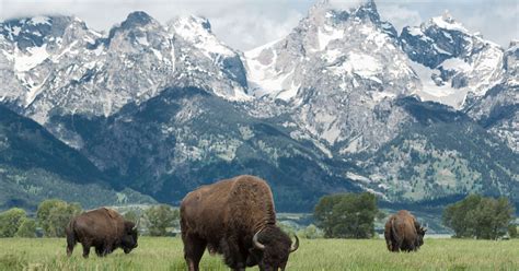 Budget Travel | State of Wyoming