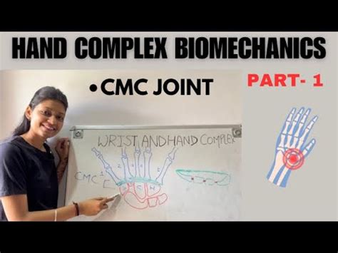 CARPOMETACARPAL JOINT (CMC) HAND BIOMECHANICS | #biomechanics - YouTube