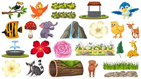 Conjunto De Animales Y Plantas Vector Premium