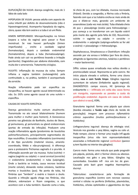 Aula Patologia De Vulva E Vagina Da Vulva Mais De De Cada Lado Hipoplasia De Vulva