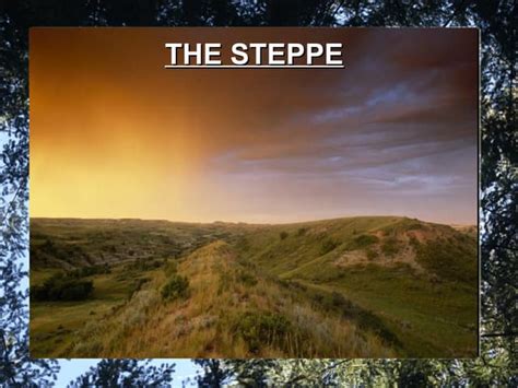 Steppe Biome | PPT