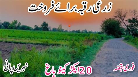 Land For Sale Acer Agriculture Land For Sale In Punjab Sargodha