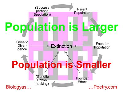 Speciation - Biology As Poetry