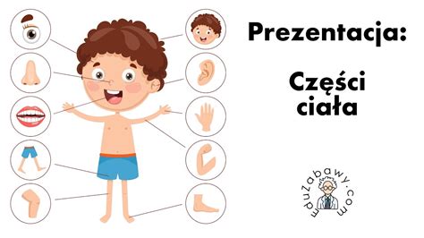 Prezentacja Cz Ci Cia A Ciekawostki Dla Dzieci Przedszkolak W