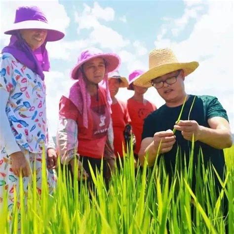 永新：千亩稻田“喊渴”干部群众齐抗旱莲洲乡永新县水稻