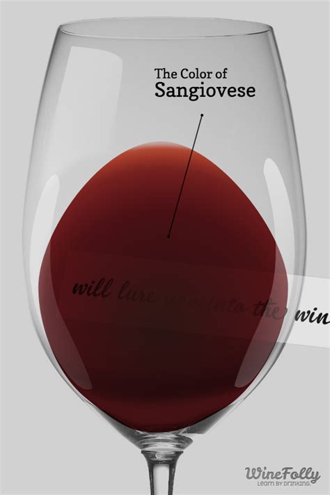 Guide to Sangiovese Wine and Pronunciation | Wine Folly