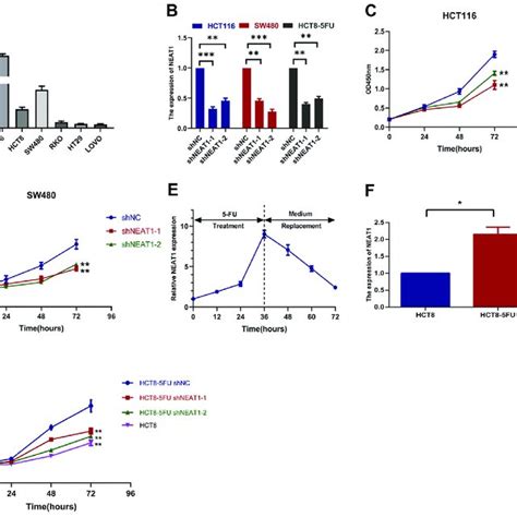 Neat1 Promotes 5 Fu Resistance In Crc Cells A Relative Expression Of