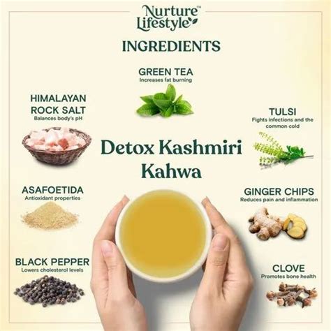 Nurture Lifestyle Herbal Detox Kashmiri Kahwa Green Tea Bags At Rs