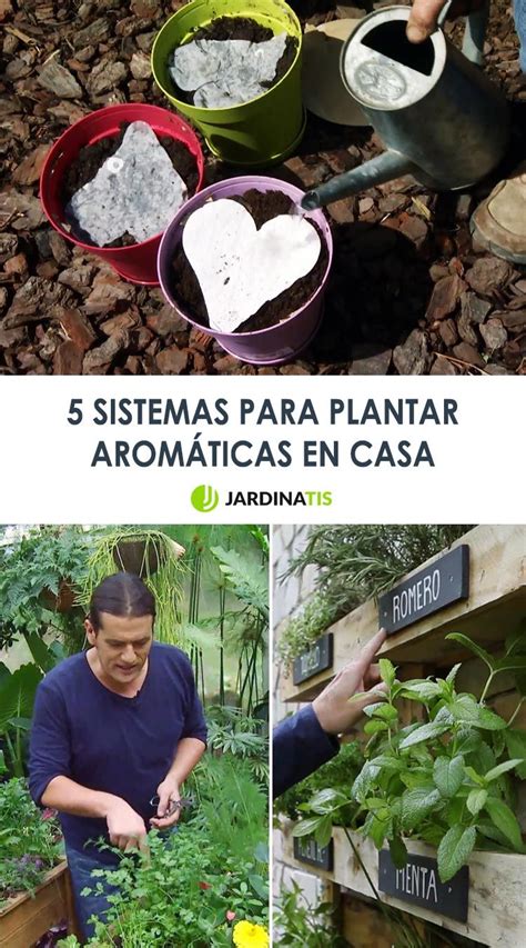 6 Sistemas Para Plantar Aromáticas En Casa Jardinatis Herramientas De Jardineria Plantar