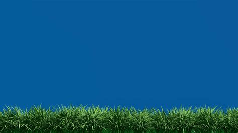 Grass Animated Stock Video Footage for Free Download