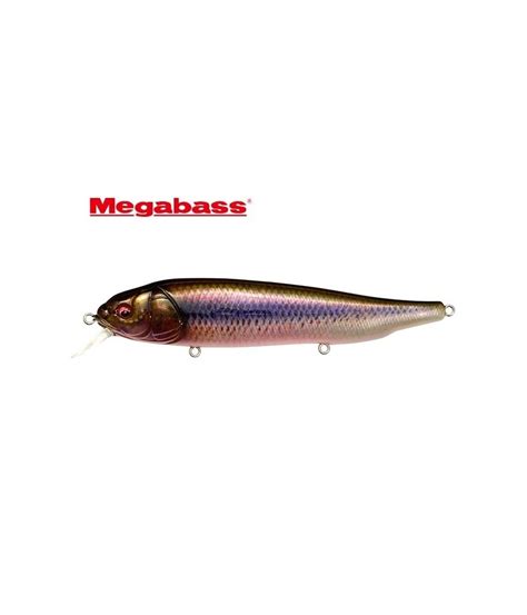 megabass stickbait lates feedingwoofer