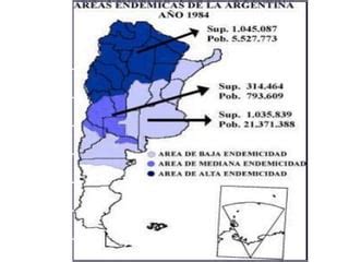 Enfermedad De Chagas Ppt Descarga Gratuita