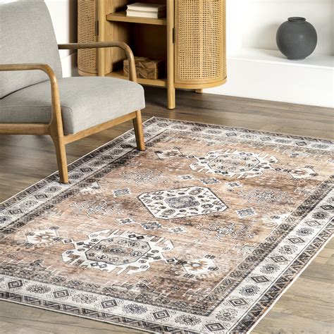 Langley Street Evelina Medallion Spill Proof Machine Washable Area Rug