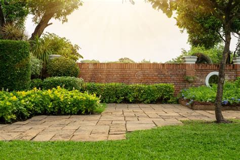 Backyard Cottage Garden On Brown Pavement Green Grass Lawn Bush And