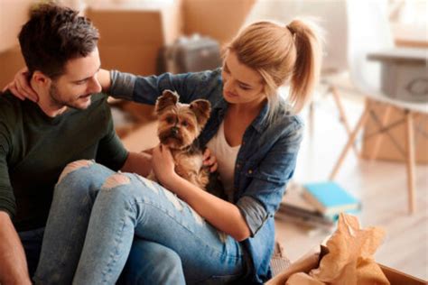 Mudanza Con Perros Todo Lo Que Necesitas Saber Para Cambiarte De Casa