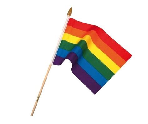 Rainbow Pride Flag On Stick BDSM Schmuck Fetisch SM Bedarf Mac