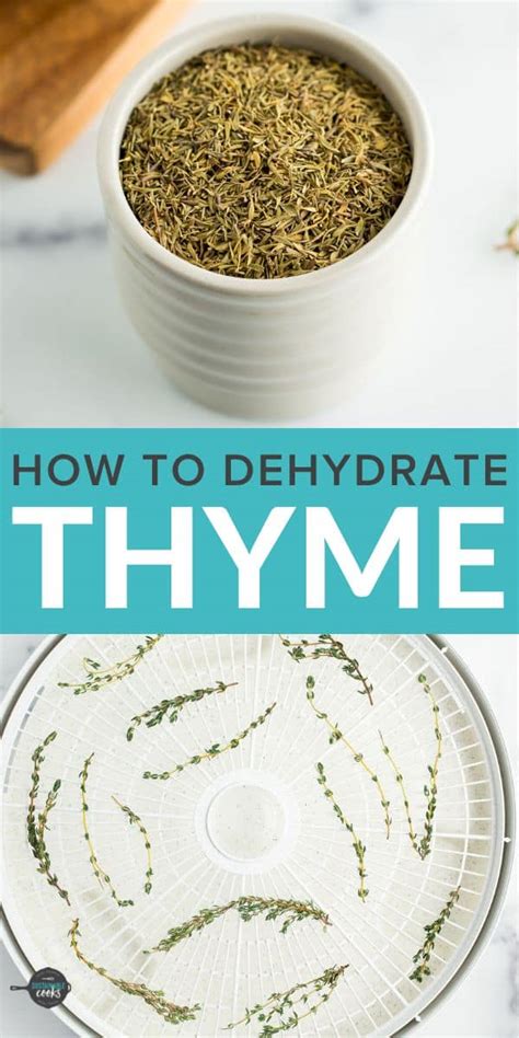 How to Dry Thyme - Sustainable Cooks