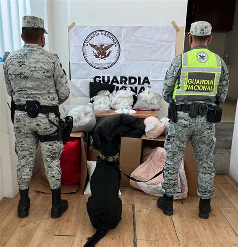 Guardia Nacional On Twitter Ocultas Entre Almohadas Y Colchas Un