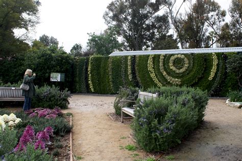 South Coast Botanic Garden | Eliza Waters
