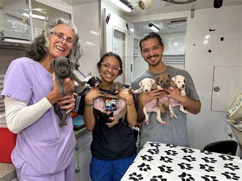 St Francis Veterinary Care | Gainesville FL