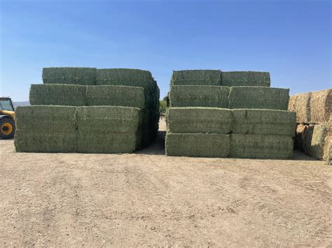 Lola - Squares | Facebook