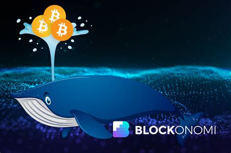 Cryptouranus Economics Whales Defined In Cryptocurrency