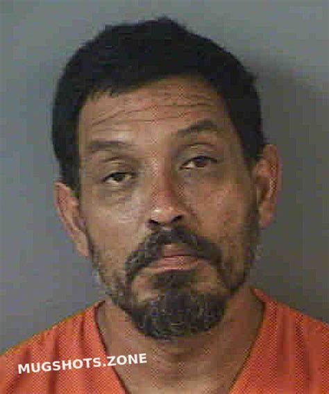 Castenada Tomas Iii Collier County Mugshots Zone