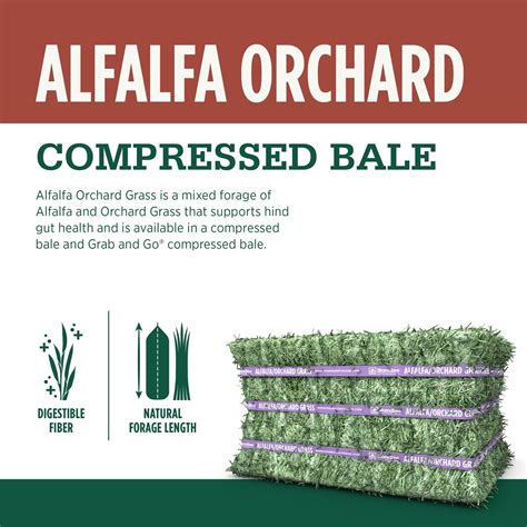 Standlee Premium Compressed Alfalfaorchard Bale