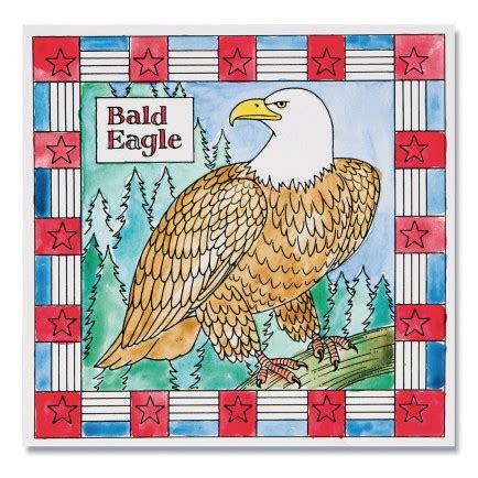 Buy Bald Eagle Paintings (Pack of 12) at S&S Worldwide