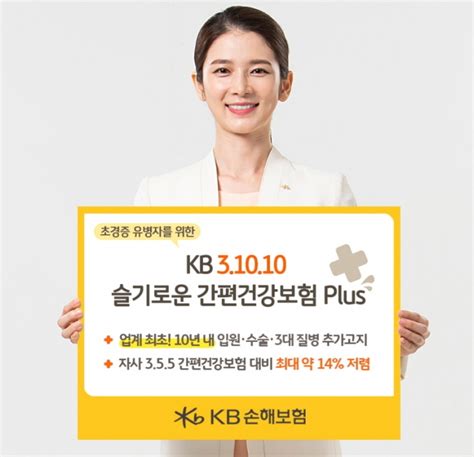 Kb손해보험 초경증 유병자 위한 ‘kb 31010 슬기로운 간편건강보험 Plus 출시 서울신문