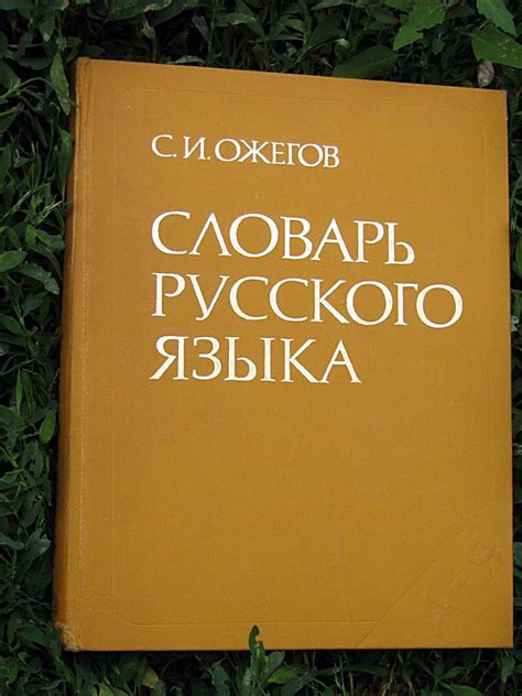 Три слова, включая «коптер», добавили в словарь русского языка | ИА ...