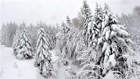 Risques D Avalanches Et De Coulées De Neige Appel à La Prudence Sur Le Massif Vosgien Ici