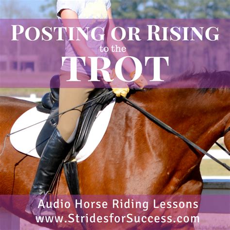 Rising Or Posting While Trotting Are You Doing It Correctly Find Out