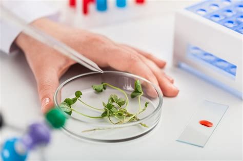 Premium Photo Examine Floral Samples Over Microscope Taking Sample