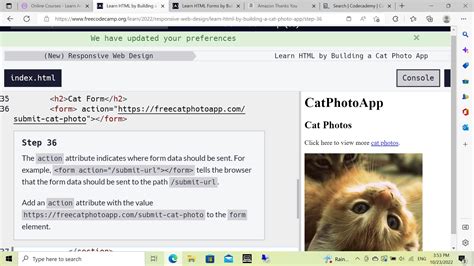 Learn Html By Building A Cat Photo App Step Html Css The